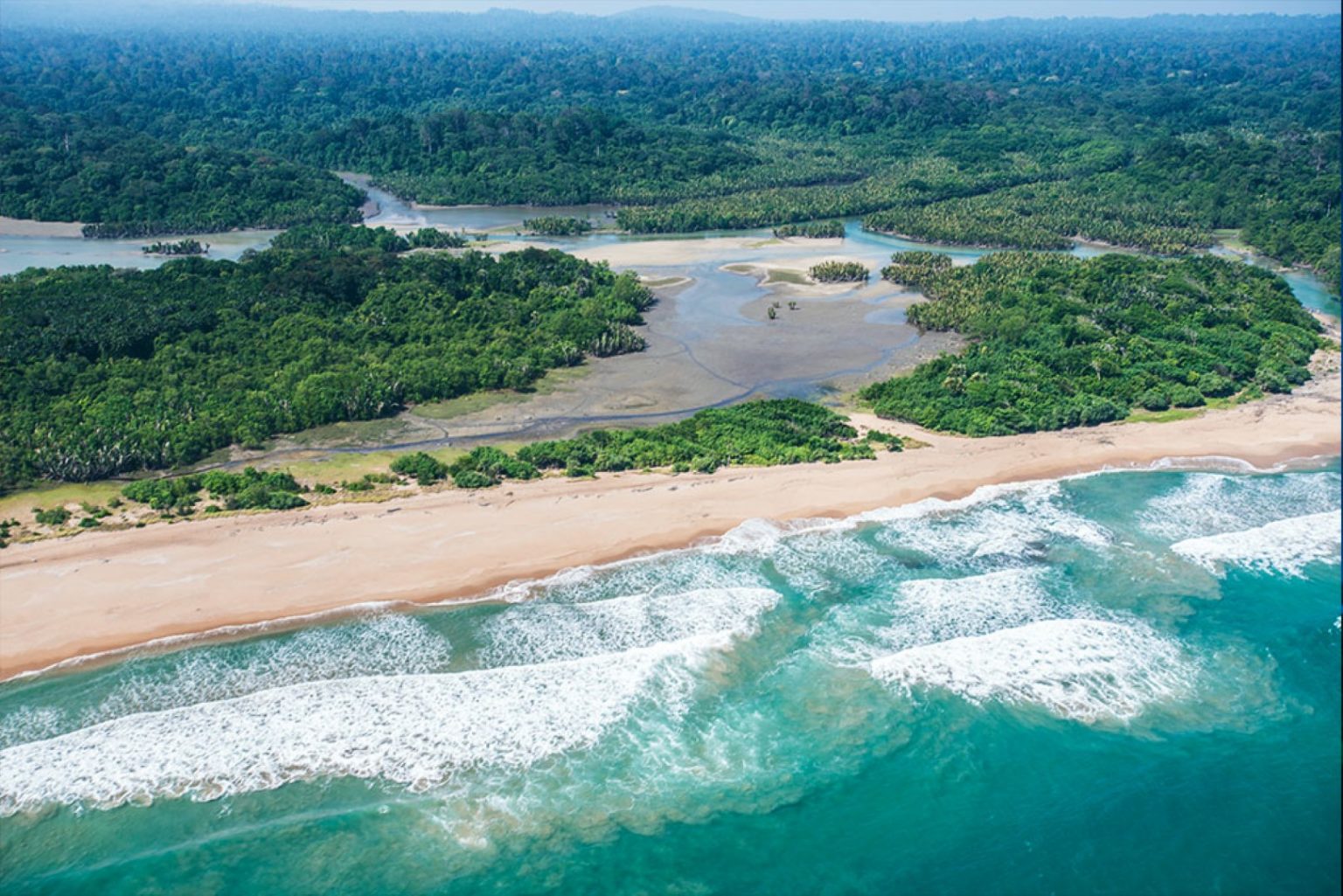Aerial view of unbroken rainforest at Tambling stretching to the horizon, meeting an estuary, empty beach, and breaking surf