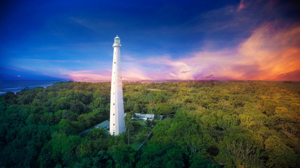 The Vlakkenhoek Lighthouse rising above the forest canopy at dusk, orange and violet sky behind