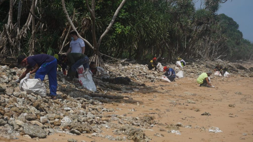 A team clearing washed-up debris from the beach at Tambling, working along the tideline below the treeline
