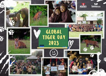 Semarak Global Tiger Day 2023: Peserta Antusias Berdiskusi dan Melukis Harimau di Pulau Sumatera